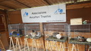 190504 Expo Levico Avicoltori 25
