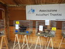 190504 Expo Levico Avicoltori 32