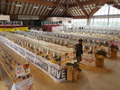 181124 Campionato Moroseta Trento 08