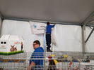 190315 Allestimento Mostra Avicola Trento 05