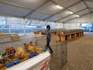 190315 Allestimento Mostra Avicola Trento 12