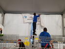 190315 Allestimento Mostra Avicola Trento 13