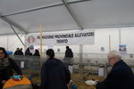190316 Mostra Agricoltura Trento 24