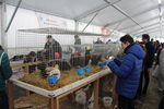 190316 Mostra Agricoltura Trento 26