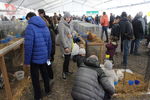 190316 Mostra Agricoltura Trento 27