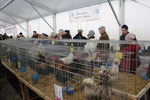 190316 Mostra Agricoltura Trento 44