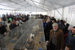 190316 Mostra Agricoltura Trento 45