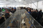 190316 Mostra Agricoltura Trento 46