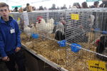 190316 Mostra Agricoltura Trento 50