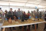 190316 Mostra Agricoltura Trento 51
