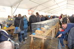 190316 Mostra Agricoltura Trento 63