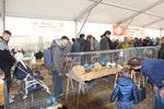 190316 Mostra Agricoltura Trento 65