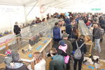 190316 Mostra Agricoltura Trento 68