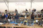 190316 Mostra Agricoltura Trento 72