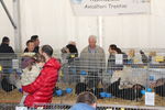 190316 Mostra Agricoltura Trento 76