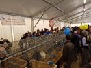 190317 Mostra Agricoltura Trento 01