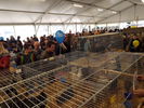 190317 Mostra Agricoltura Trento 08