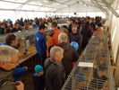 190317 Mostra Agricoltura Trento 11