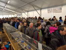 190317 Mostra Agricoltura Trento 12