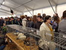 190317 Mostra Agricoltura Trento 13