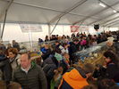 190317 Mostra Agricoltura Trento 14