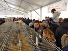 190317 Mostra Agricoltura Trento 26