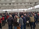 190217 Avincontro Reggio Emilia 37