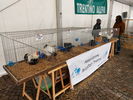 201017 Fiera Casolara Trento Avicoltori 03