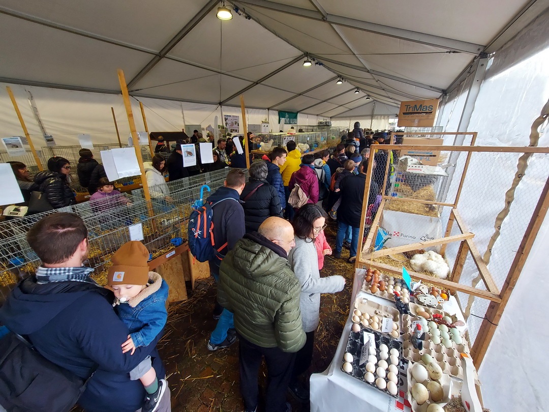 250316 Mostra Agricoltura Avicoltori Trentini 02