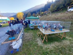 18a Mostra provinciale della capra pezzata mochena