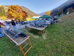 18a Mostra provinciale della capra pezzata mochena