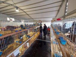 79a Mostra dell’Agricoltura con gli Avicoltori Trentini