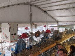 79a Mostra dell’Agricoltura con gli Avicoltori Trentini