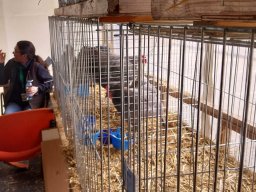 79a Mostra dell’Agricoltura con gli Avicoltori Trentini