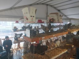 79a Mostra dell’Agricoltura con gli Avicoltori Trentini