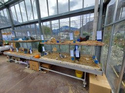 Tra fiori e piume 2025