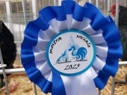 Tra fiori e piume 2025