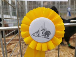 Tra fiori e piume 2025