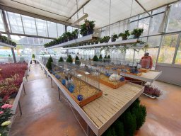 Tra fiori e piume 2025