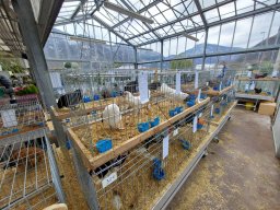 Tra fiori e piume 2025