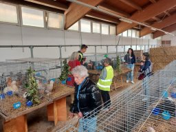 17a Festa di Primavera