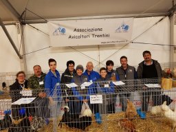 Mostre ed eventi &raquo; Fiera 2018