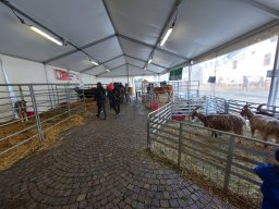 Fiera dell&#039;Agricoltura 2025