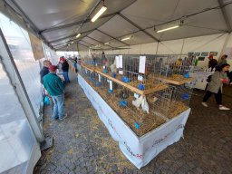 Fiera dell&#039;Agricoltura 2025
