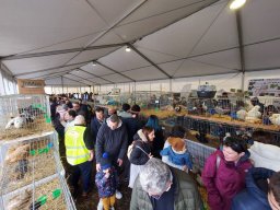 Fiera dell&#039;Agricoltura 2025