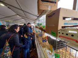 Fiera dell&#039;Agricoltura 2025