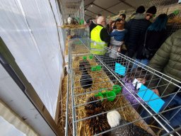 Fiera dell&#039;Agricoltura 2025