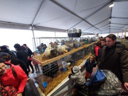 Fiera dell&#039;Agricoltura 2025