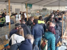 Fiera dell&#039;Agricoltura 2025