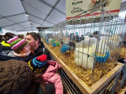 Fiera dell&#039;Agricoltura 2025